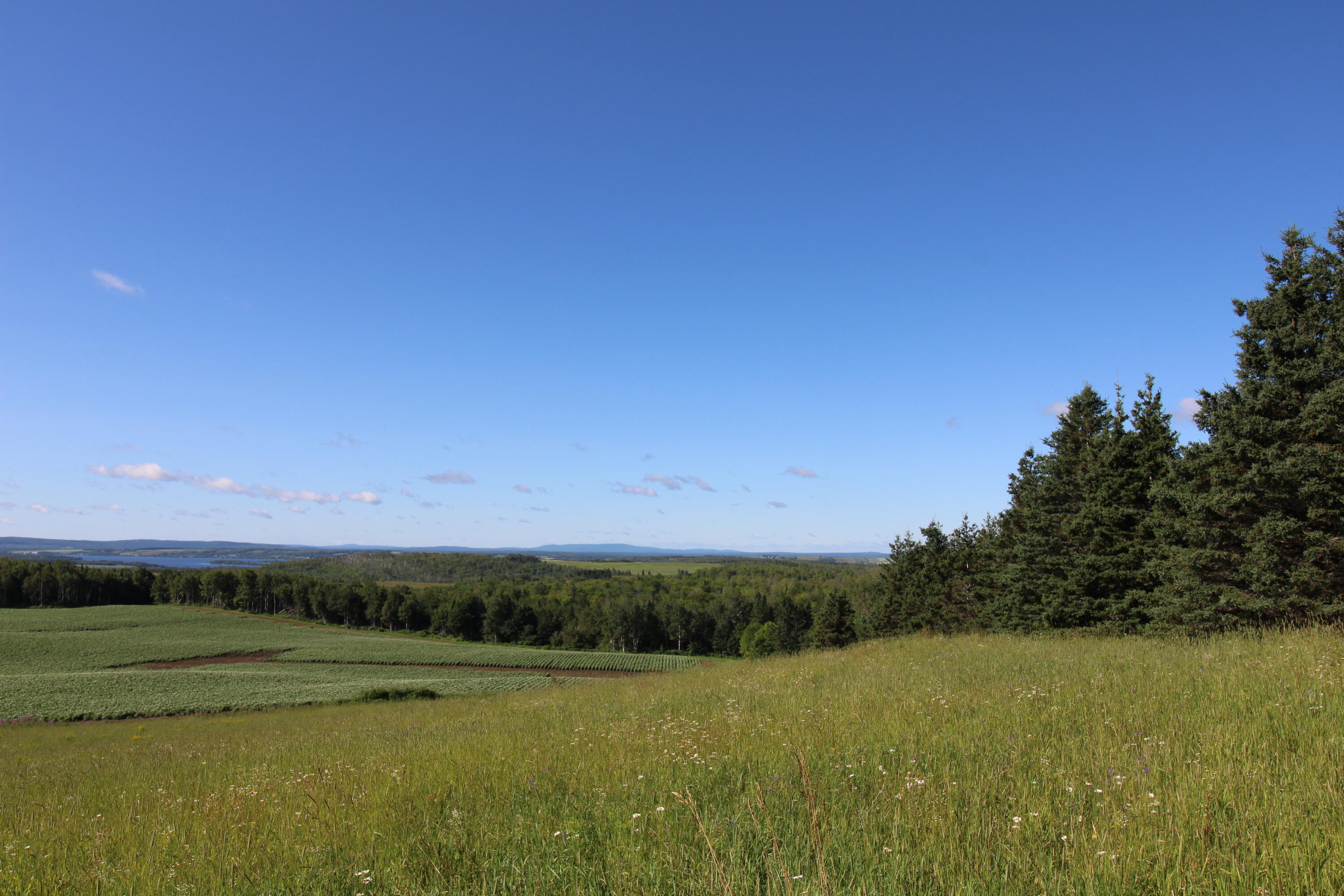 179 Aspen Road Madawaska, ME 04756 - Photo 12 of 13 IMG_1471