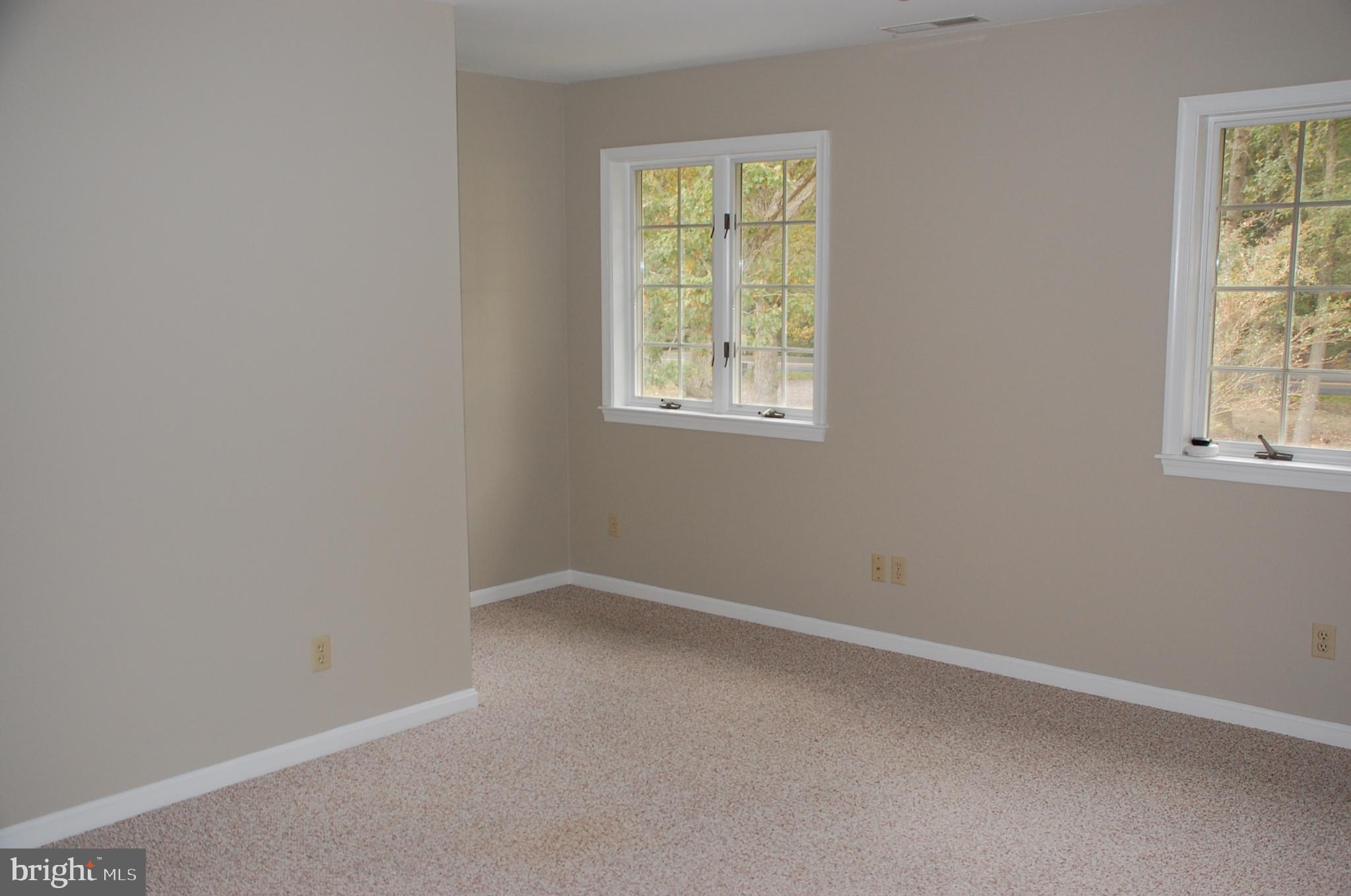 15333 Hudson Road Milton, DE 19968 - Photo 16 of 28 an empty room with windows