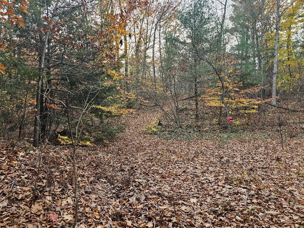 1691 North Weber Road Muskegon, MI 49445 - Photo 1 of 17 20241030_170600_resized