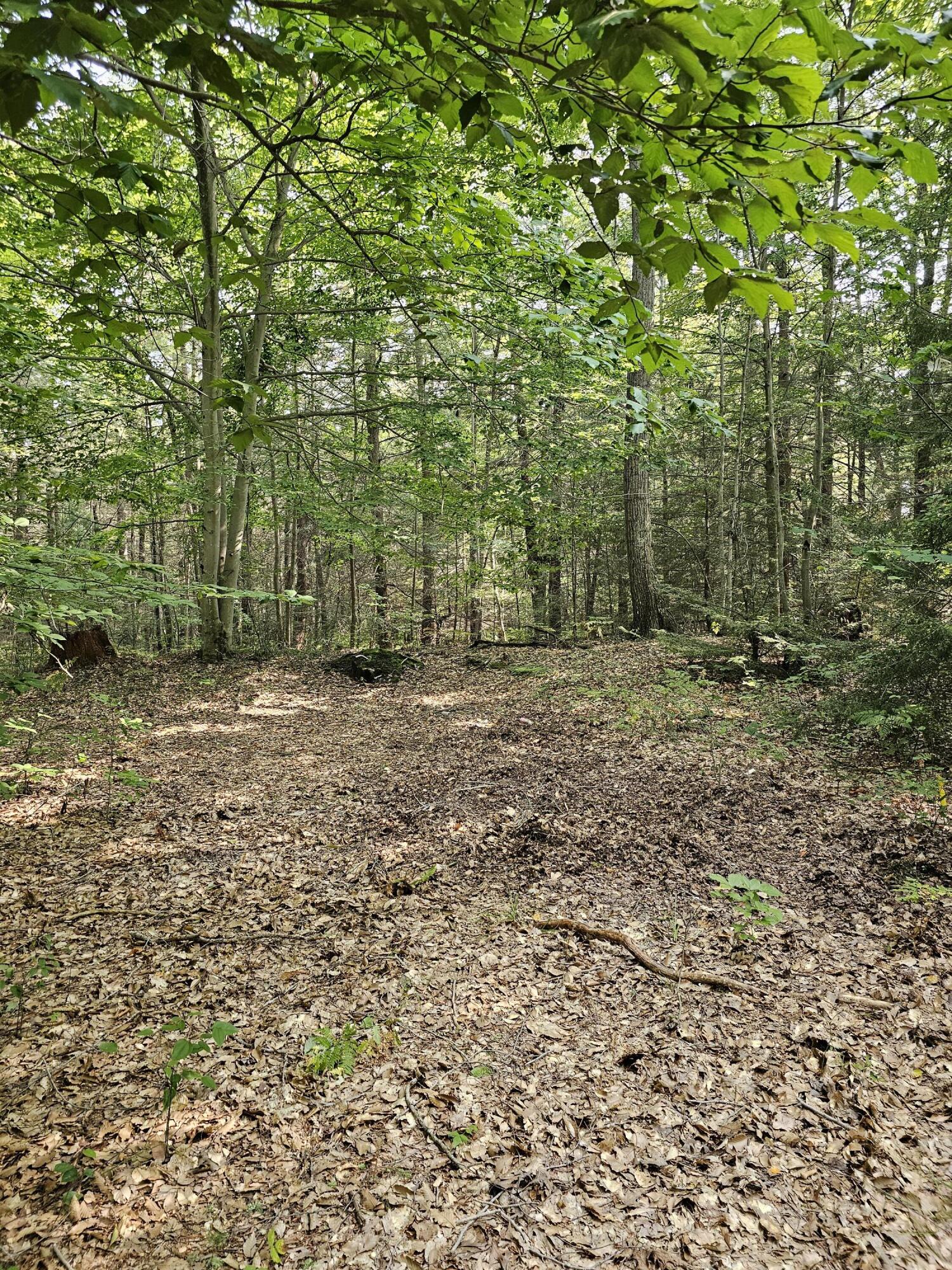 1691 North Weber Road Muskegon, MI 49445 - Photo 11 of 17 20240910_161003 (2)
