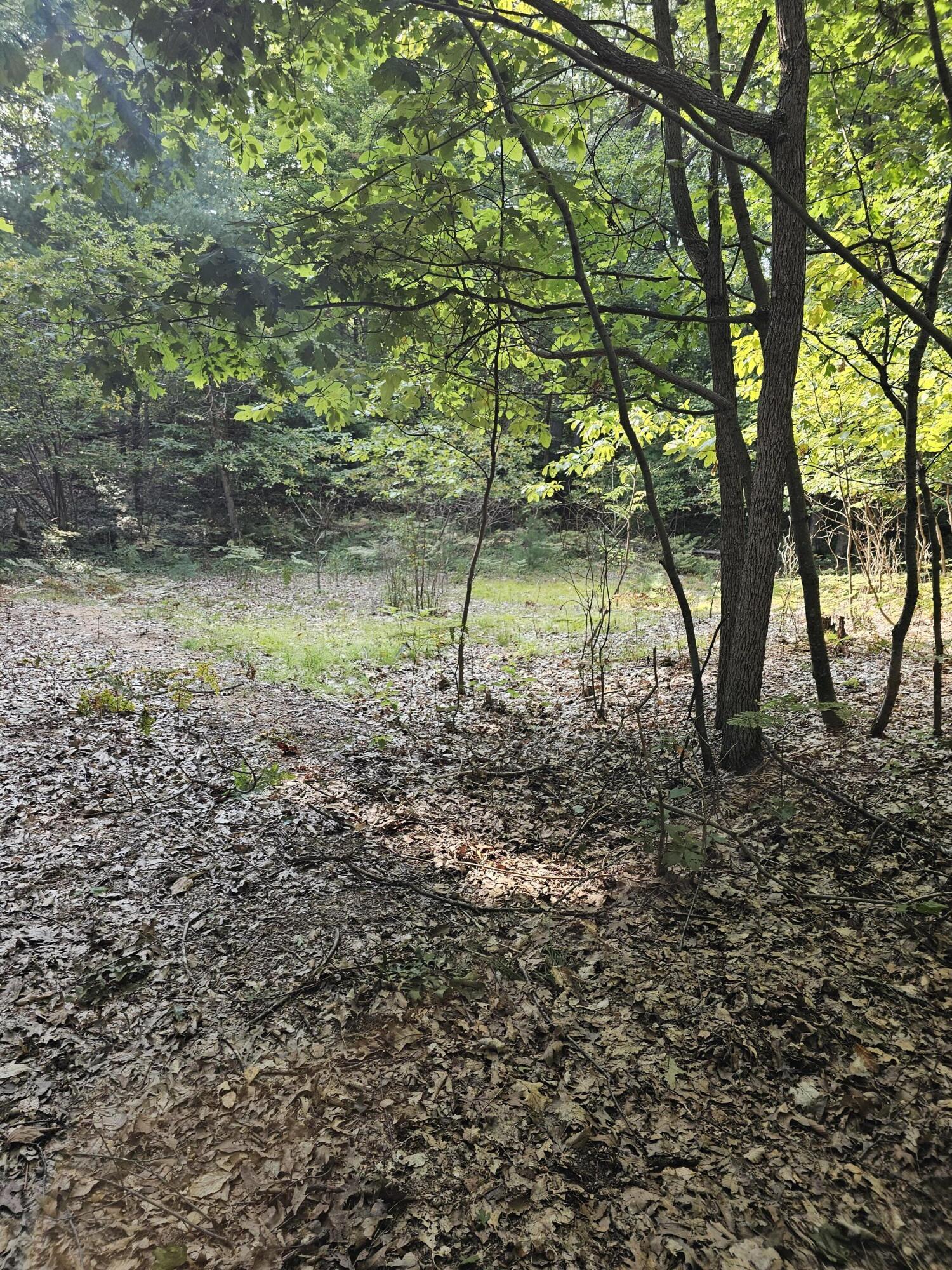 1691 North Weber Road Muskegon, MI 49445 - Photo 12 of 17 20240910_161112