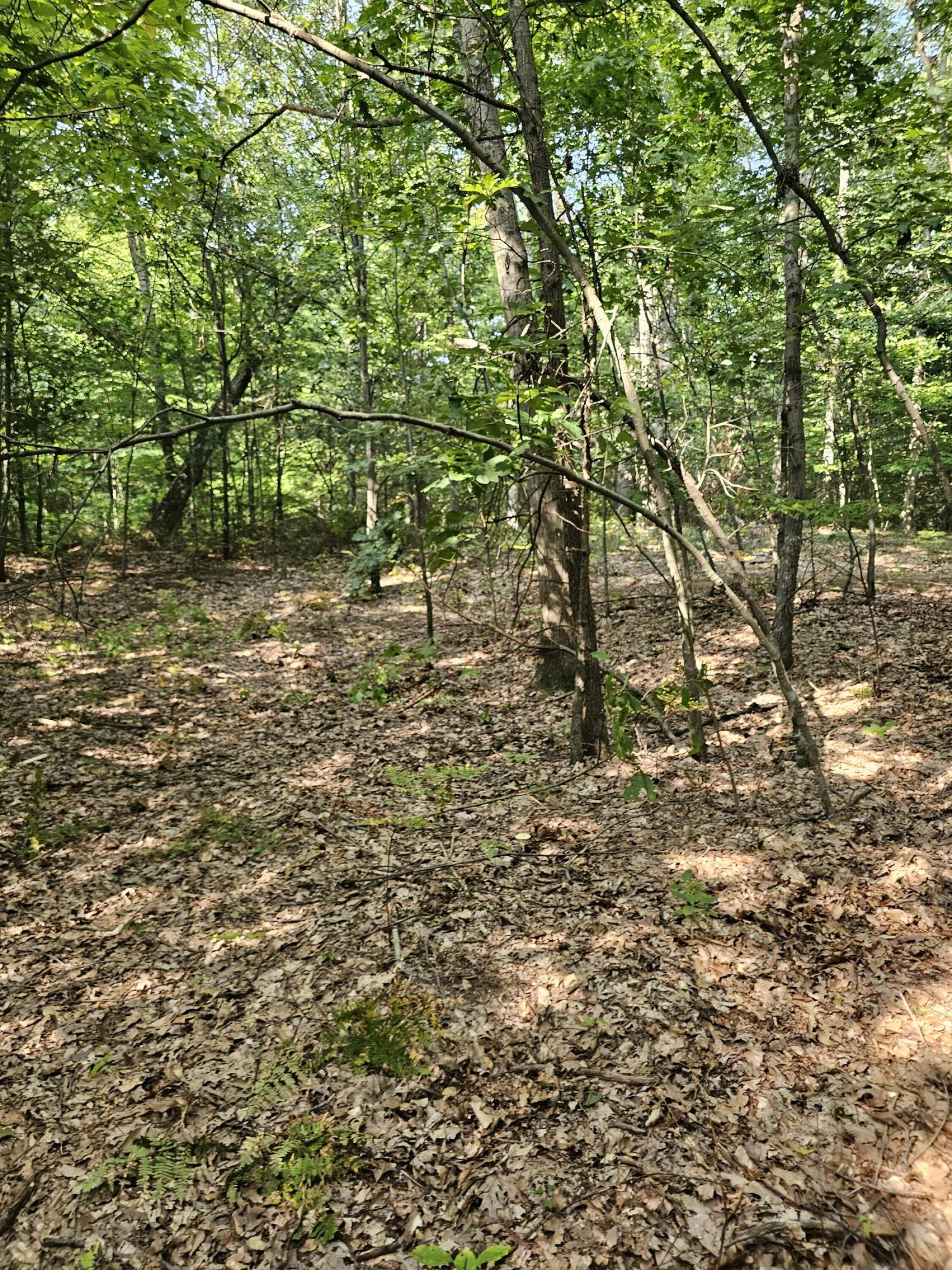 1691 North Weber Road Muskegon, MI 49445 - Photo 14 of 17 20240910_160934 (1)
