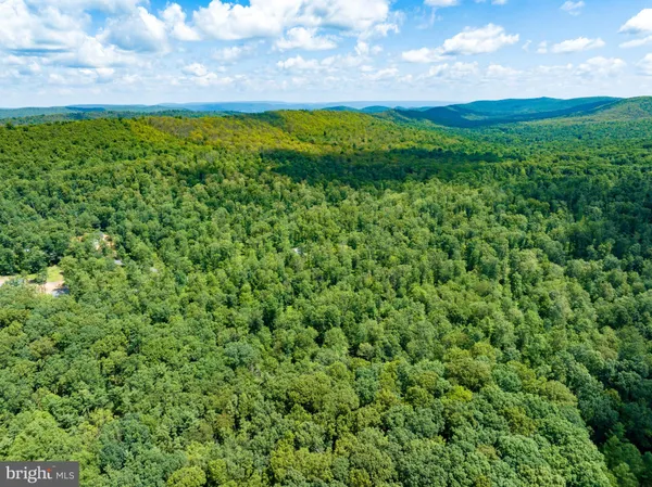 a view of a green yard