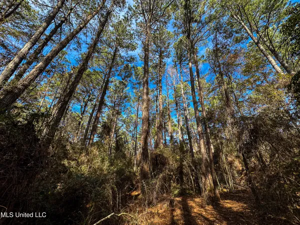 $229,637 | 1 Dap Road East, Moss Point, MS 39562