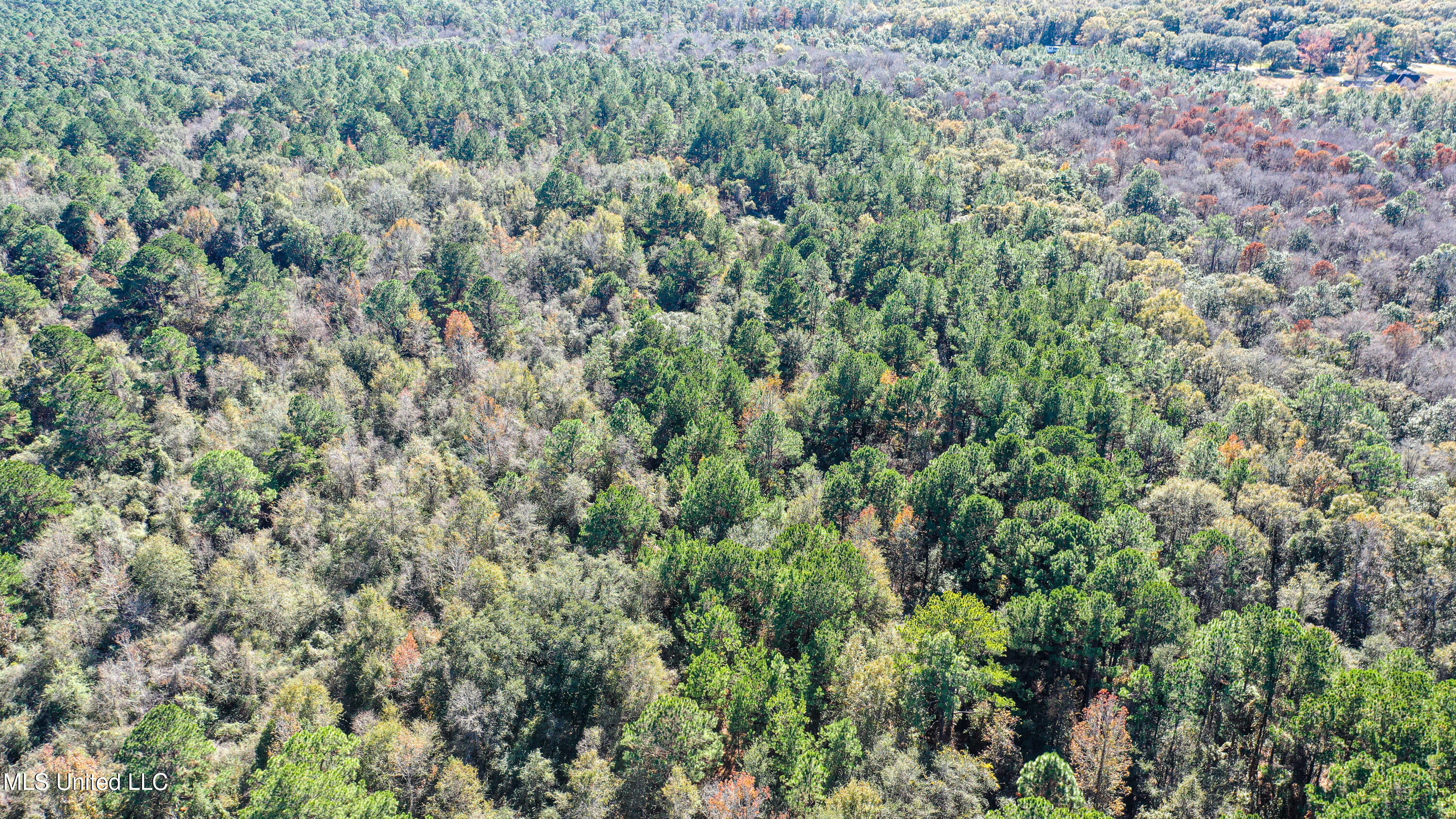 1 Dap Road East Moss Point, MS 39562 - Photo 14 of 50 DJI_0291