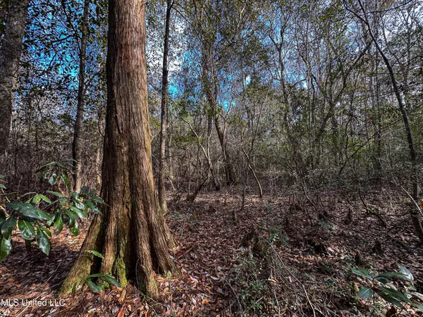 $229,637 | 1 Dap Road East, Moss Point, MS 39562