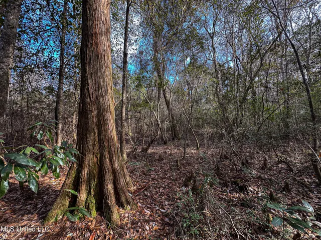 $229,637 | 1 Dap Road East, Moss Point, MS 39562