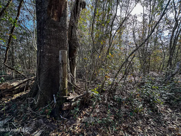 $229,637 | 1 Dap Road East, Moss Point, MS 39562