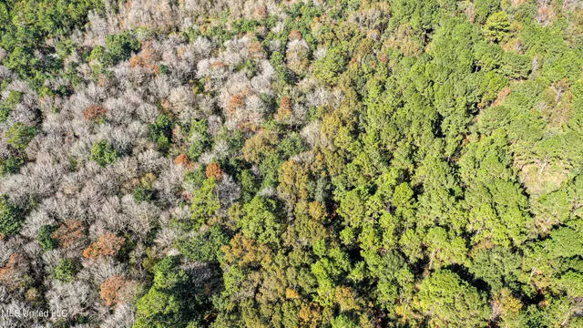 $229,637 | 1 Dap Road East, Moss Point, MS 39562