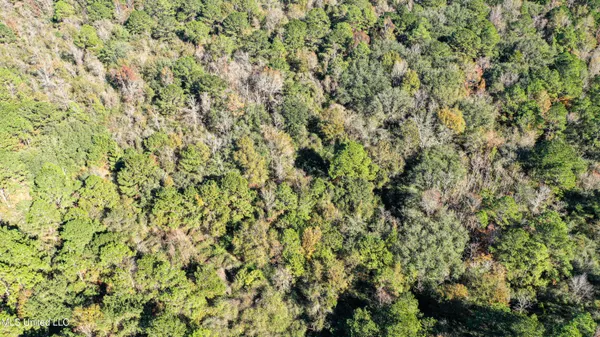 $229,637 | 1 Dap Road East, Moss Point, MS 39562