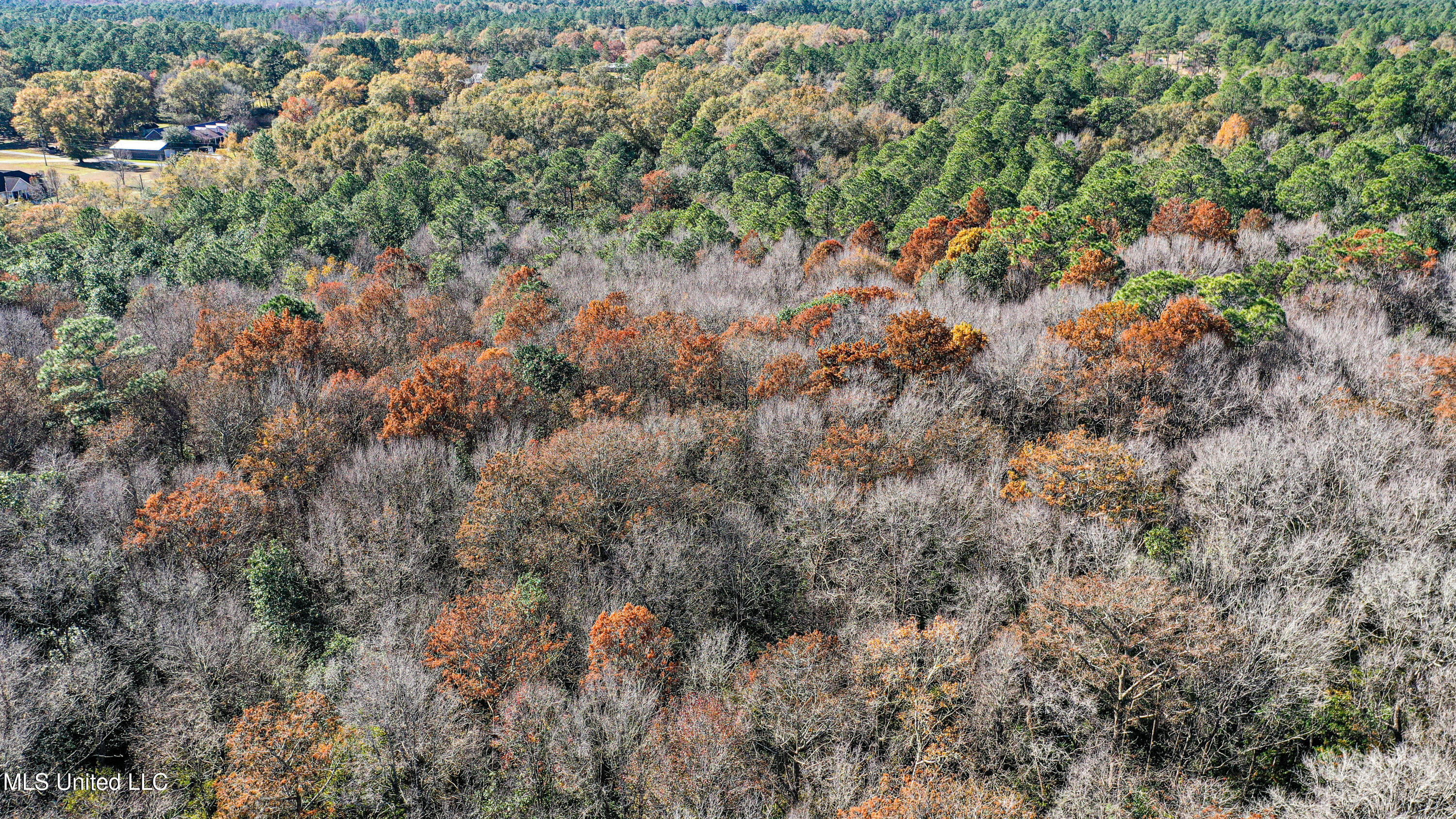 1 Dap Road East Moss Point, MS 39562 - Photo 29 of 50 DJI_0303