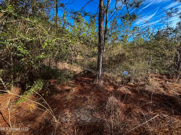 $229,637 | 1 Dap Road East, Moss Point, MS 39562