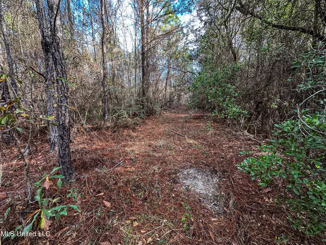 $229,637 | 1 Dap Road East, Moss Point, MS 39562