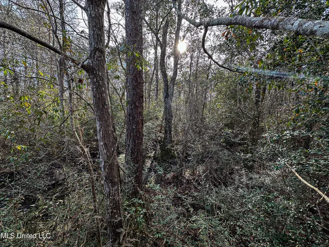 $229,637 | 1 Dap Road East, Moss Point, MS 39562