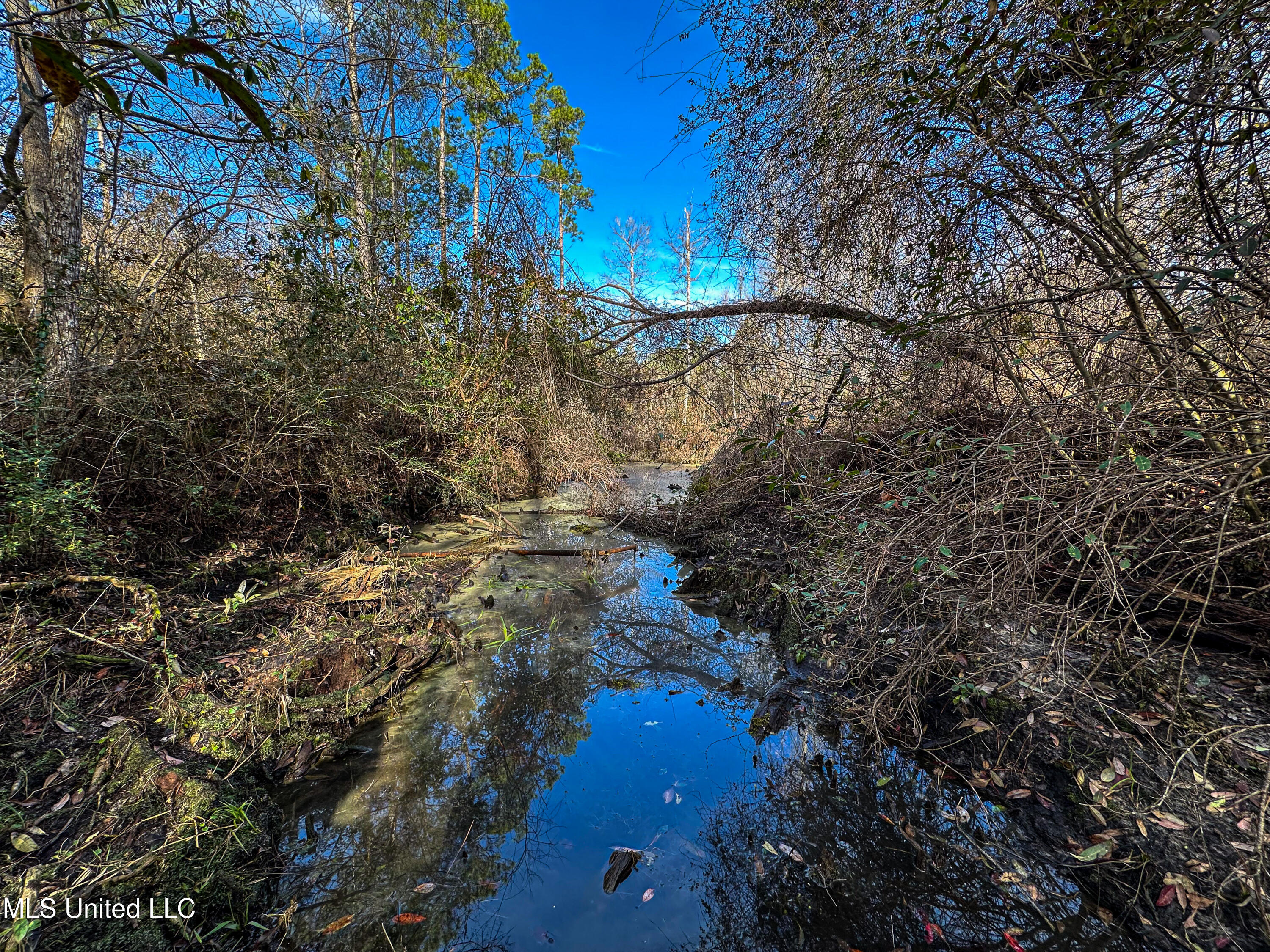 1 Dap Road East Moss Point, MS 39562 - Photo 35 of 50 IMG_2303