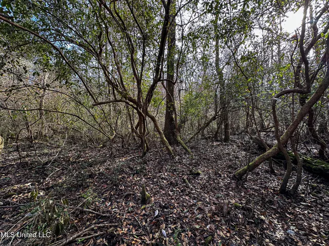 $229,637 | 1 Dap Road East, Moss Point, MS 39562