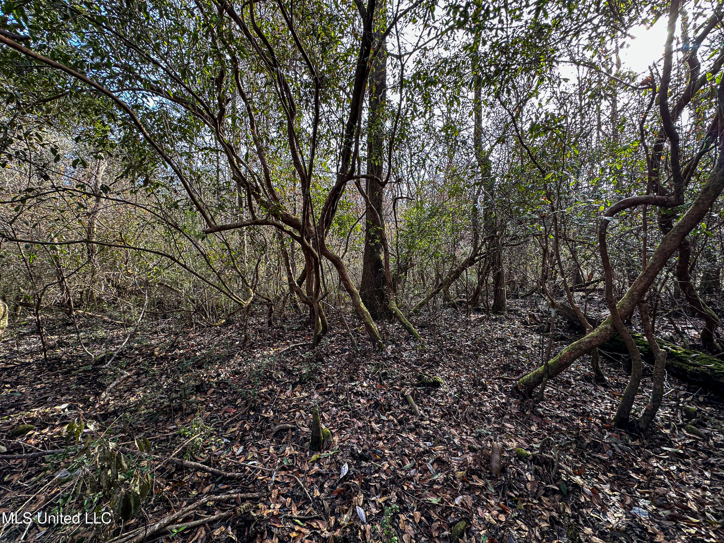 1 Dap Road East Moss Point, MS 39562 - Photo 36 of 50 IMG_2304