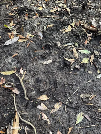 $229,637 | 1 Dap Road East, Moss Point, MS 39562