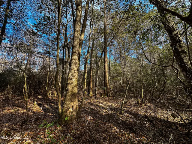 $229,637 | 1 Dap Road East, Moss Point, MS 39562