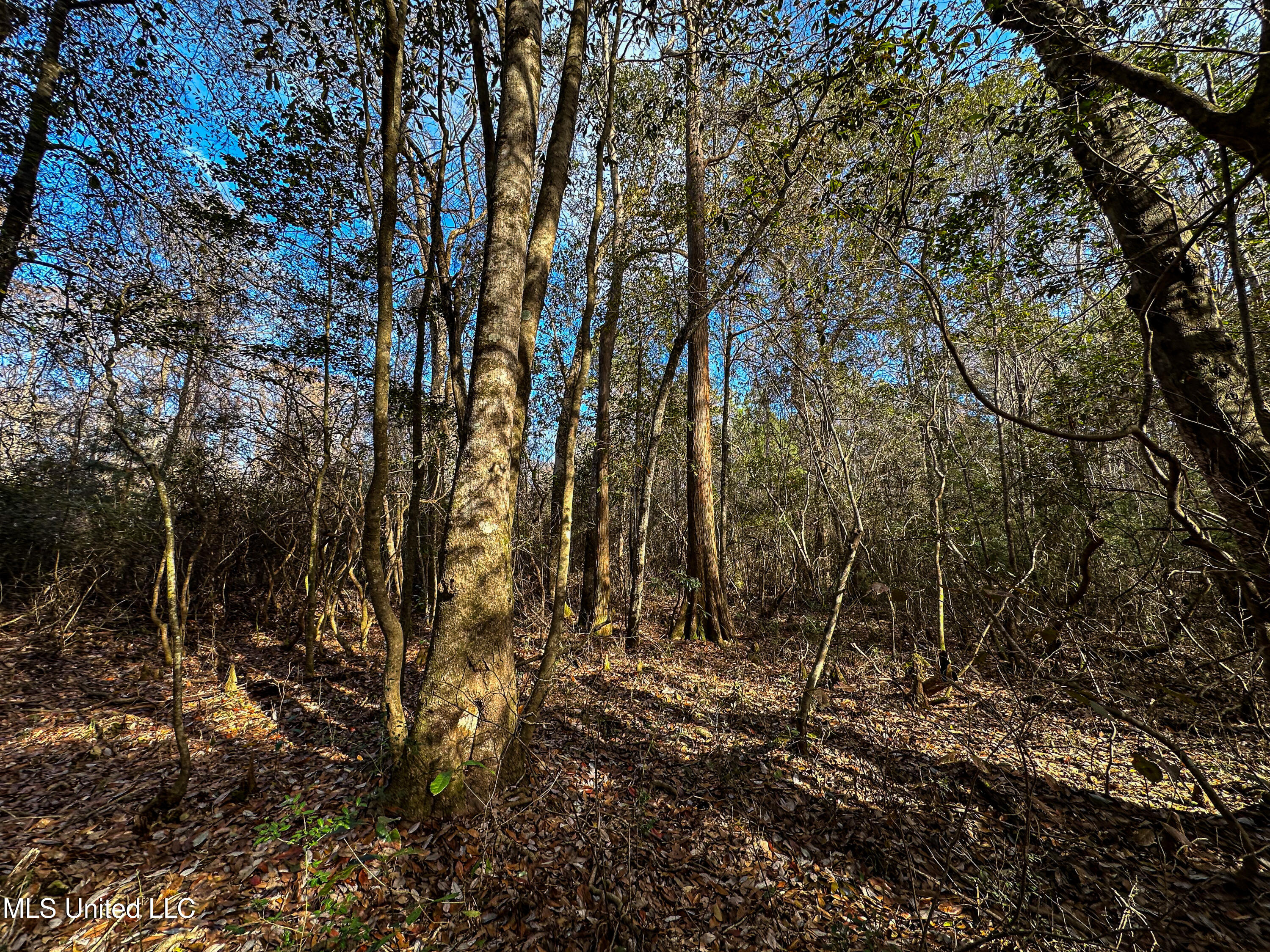 1 Dap Road East Moss Point, MS 39562 - Photo 38 of 50 IMG_2308