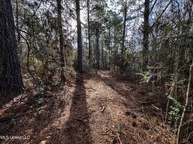 $229,637 | 1 Dap Road East, Moss Point, MS 39562