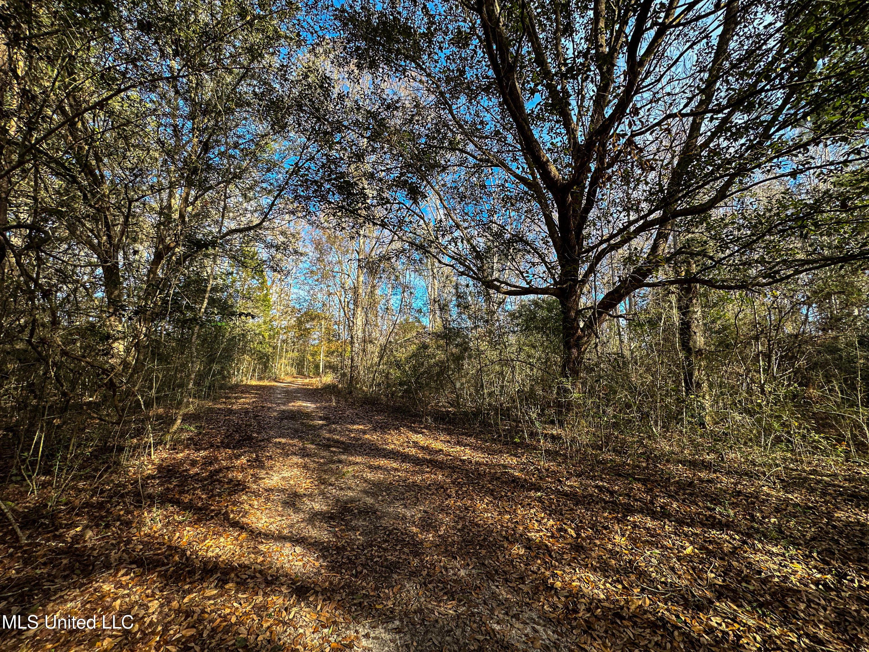 1 Dap Road East Moss Point, MS 39562 - Photo 40 of 50 IMG_2312