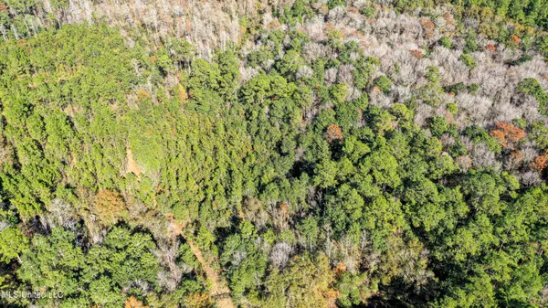 $229,637 | 1 Dap Road East, Moss Point, MS 39562