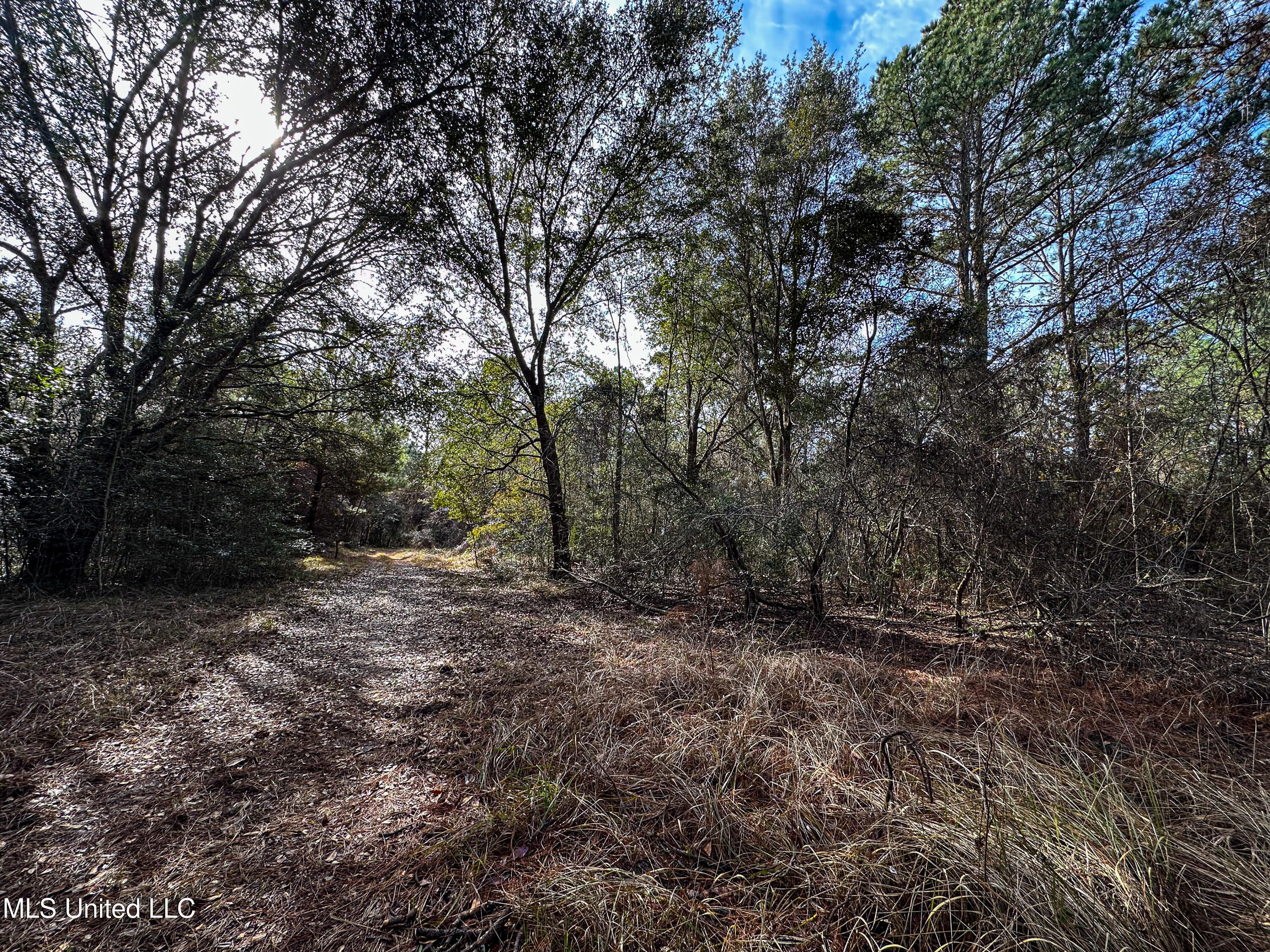 1 Dap Road East Moss Point, MS 39562 - Photo 43 of 50 IMG_2317