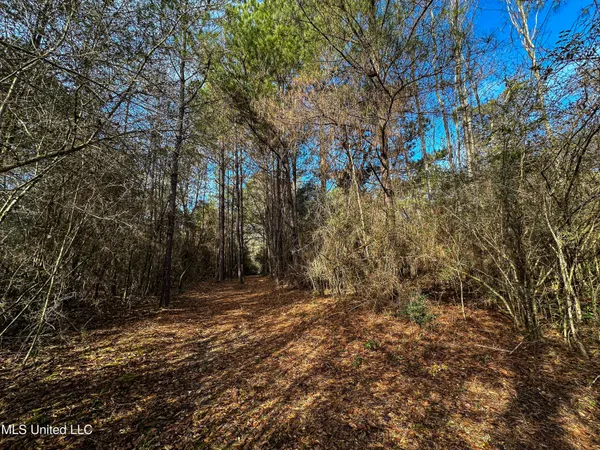 $229,637 | 1 Dap Road East, Moss Point, MS 39562