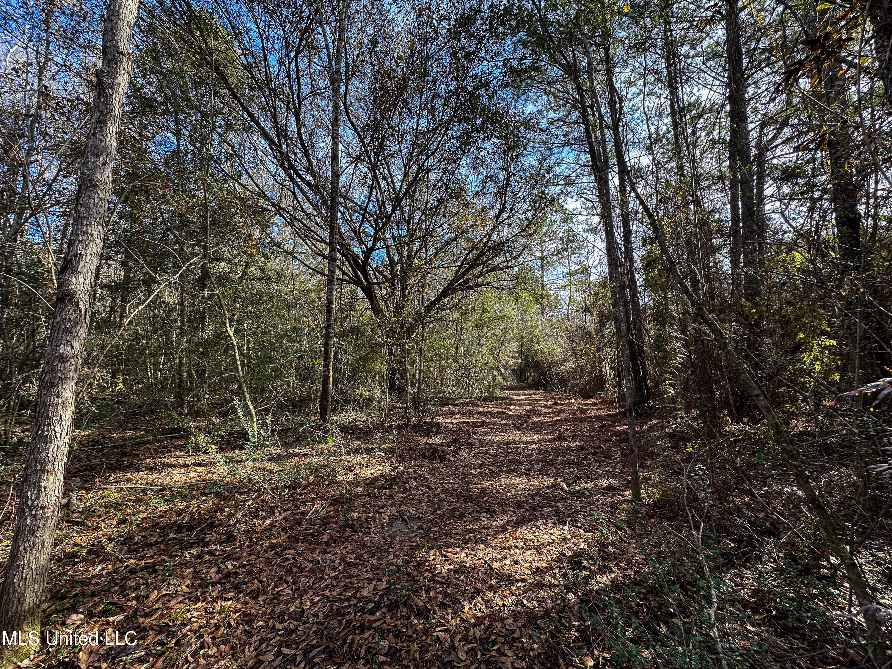 1 Dap Road East Moss Point, MS 39562 - Photo 45 of 50 IMG_2319