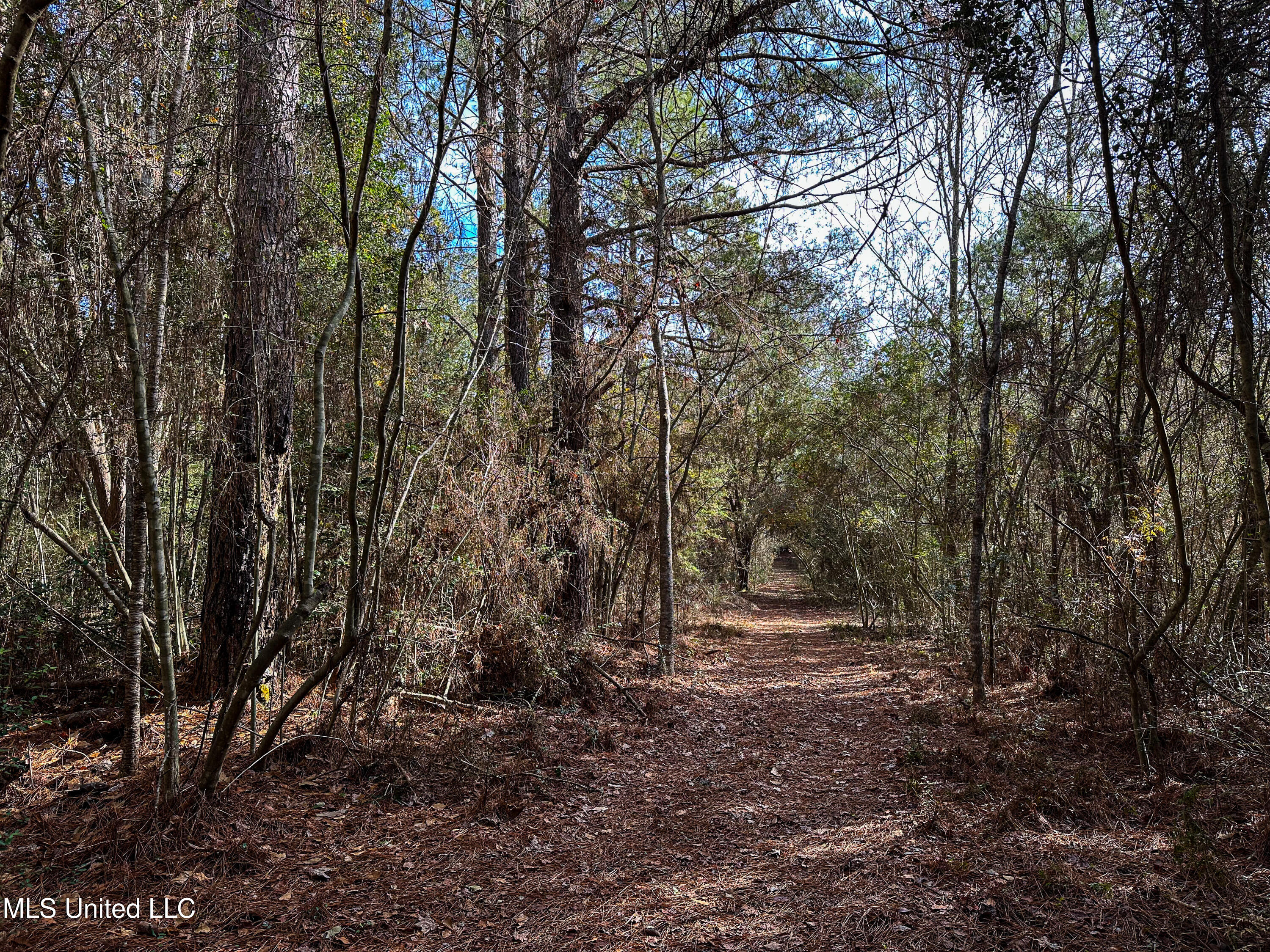 1 Dap Road East Moss Point, MS 39562 - Photo 46 of 50 IMG_2320