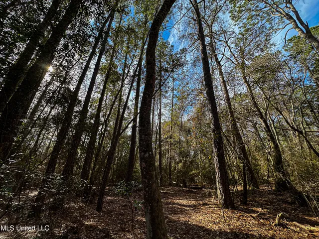 $229,637 | 1 Dap Road East, Moss Point, MS 39562