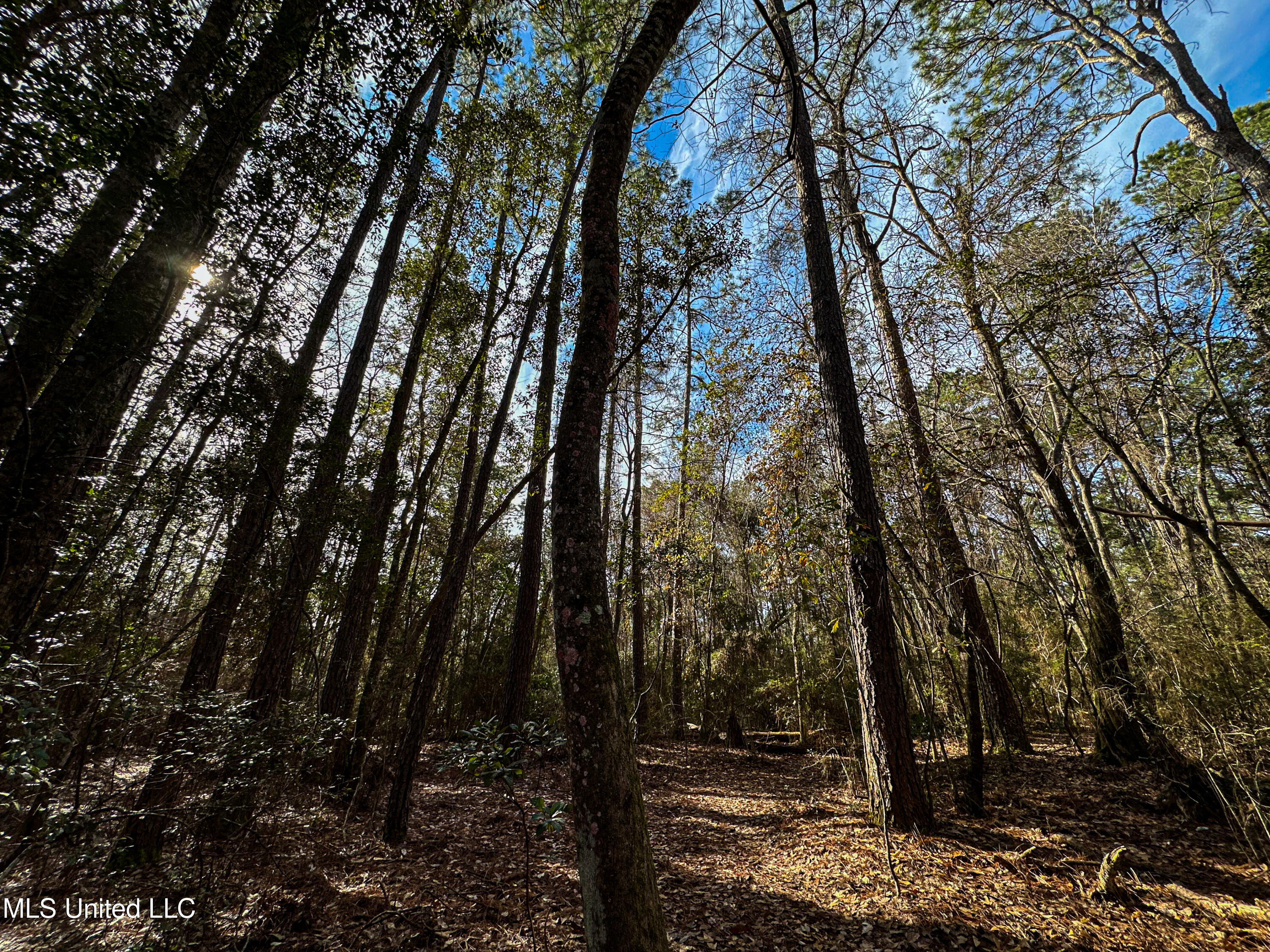 1 Dap Road East Moss Point, MS 39562 - Photo 47 of 50 IMG_2322