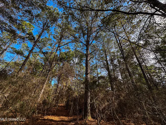 $229,637 | 1 Dap Road East, Moss Point, MS 39562