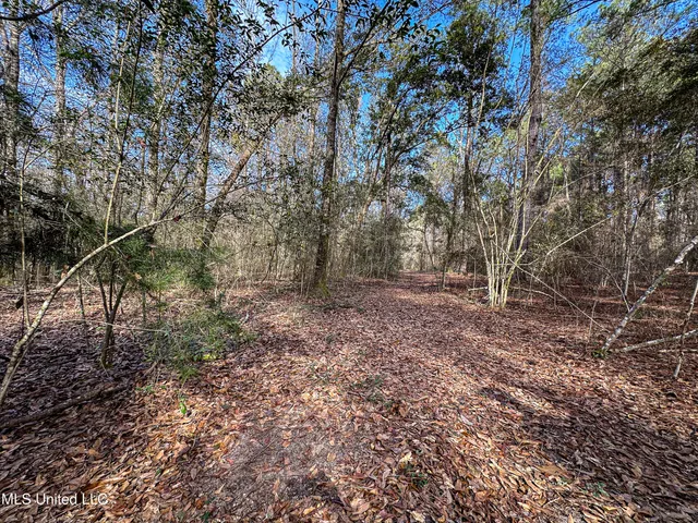 $229,637 | 1 Dap Road East, Moss Point, MS 39562