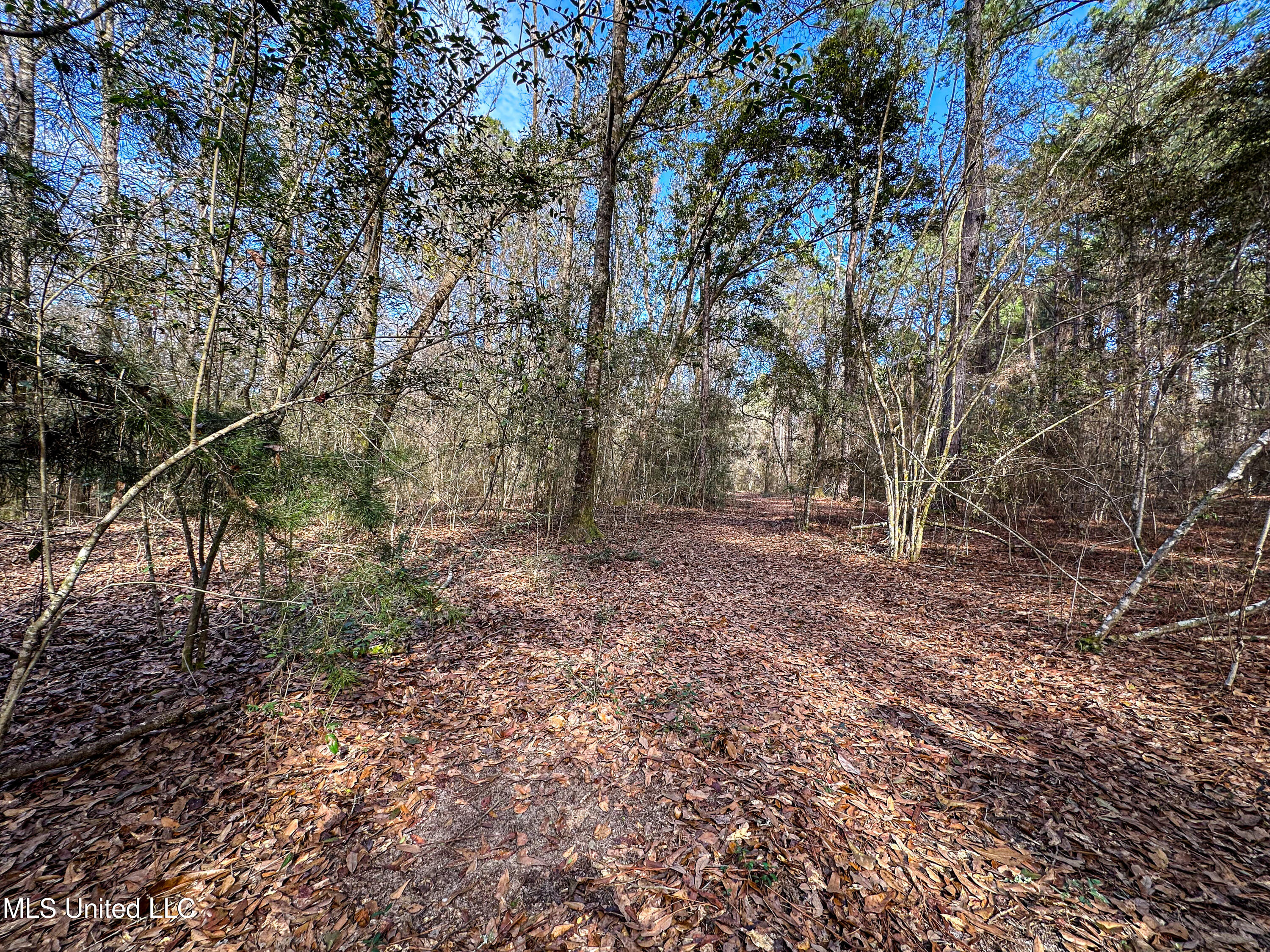 1 Dap Road East Moss Point, MS 39562 - Photo 49 of 50 IMG_2326