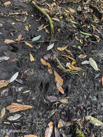 $229,637 | 1 Dap Road East, Moss Point, MS 39562