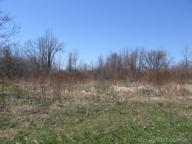 Vl Townsend Applegate, MI 48401 - Photo 17 of 31