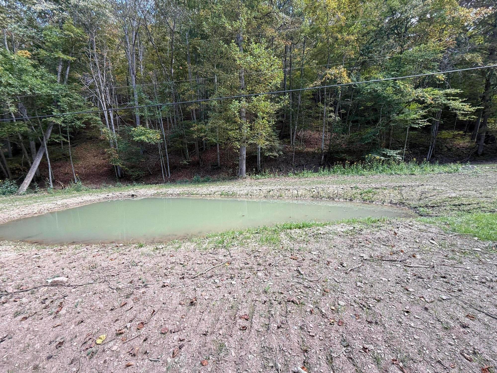 4329 Cooks Run Road Lindside, WV 24951 - Photo 27 of 71 Gallery Image 27