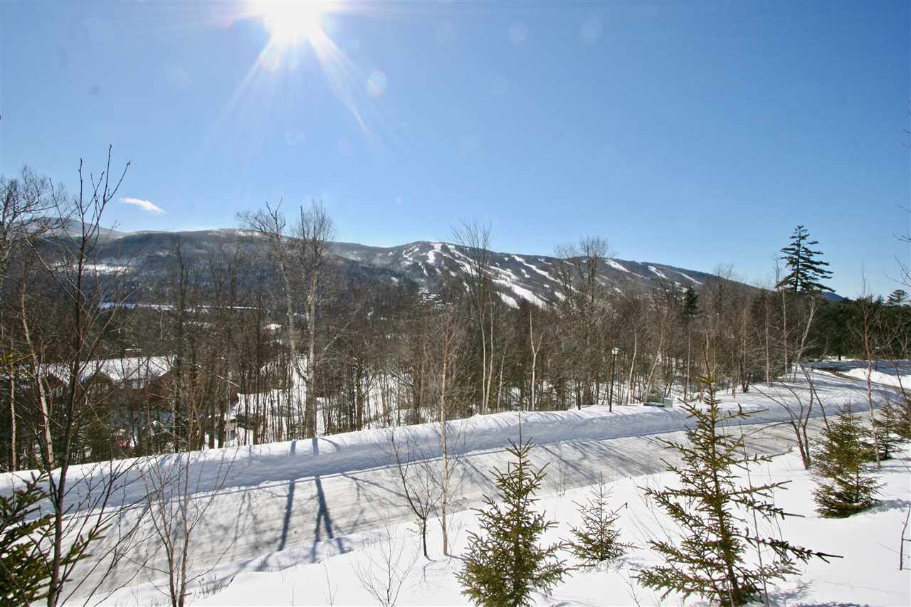 8 Dartmouth Ridge Road, Unit 8 Twin Mountain, NH 03595 - Photo 1 of 6 Gallery Image 1