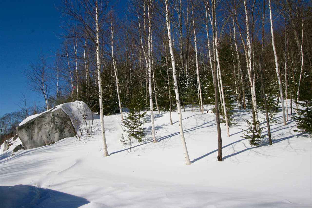 8 Dartmouth Ridge Road, Unit 8 Twin Mountain, NH 03595 - Photo 3 of 6 Gallery Image 3
