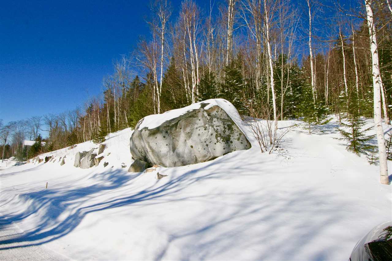 8 Dartmouth Ridge Road, Unit 8 Twin Mountain, NH 03595 - Photo 4 of 6 Gallery Image 4