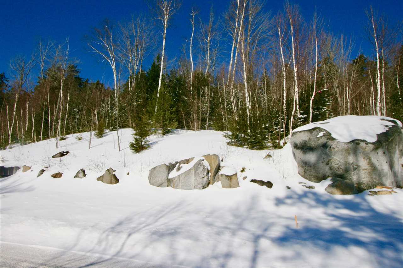 8 Dartmouth Ridge Road, Unit 8 Twin Mountain, NH 03595 - Photo 5 of 6 Gallery Image 5