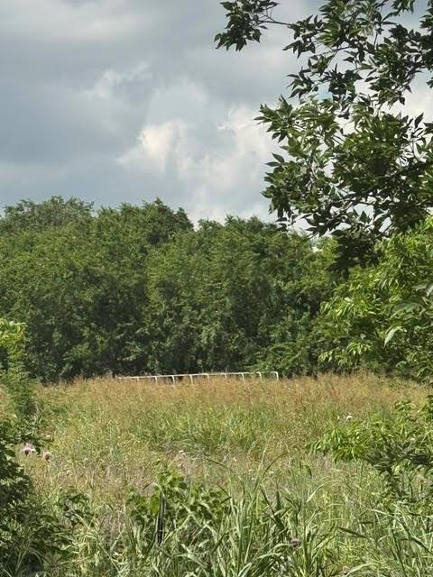 0 County Road 4219 Decatur, TX 76234 - Photo 1 of 7