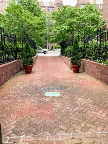 a view of a garden with plants