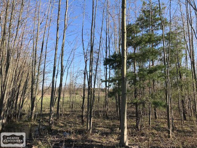 0 Atwell Road Emmett, MI 48022 - Photo 2 of 6