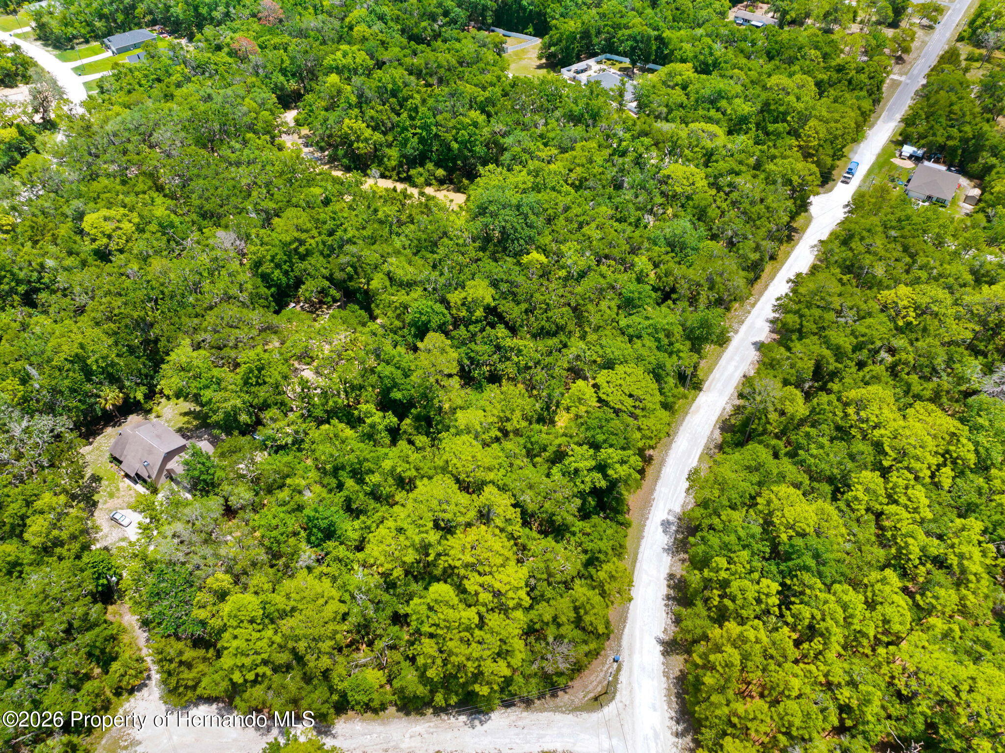0 Ricebird Avenue Weeki Wachee, FL 34614 - Photo 8 of 26