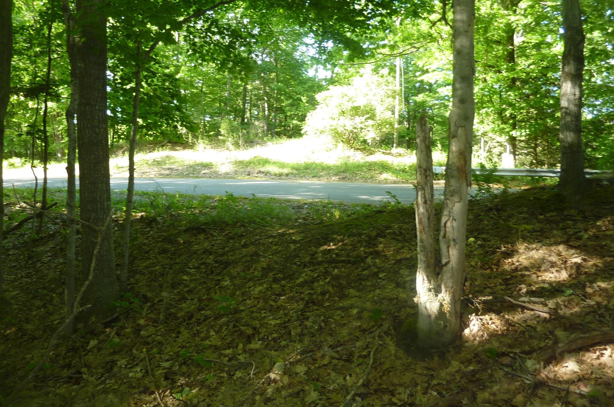 Oo Point Betsie Road Frankfort, MI 49635 - Photo 13 of 13