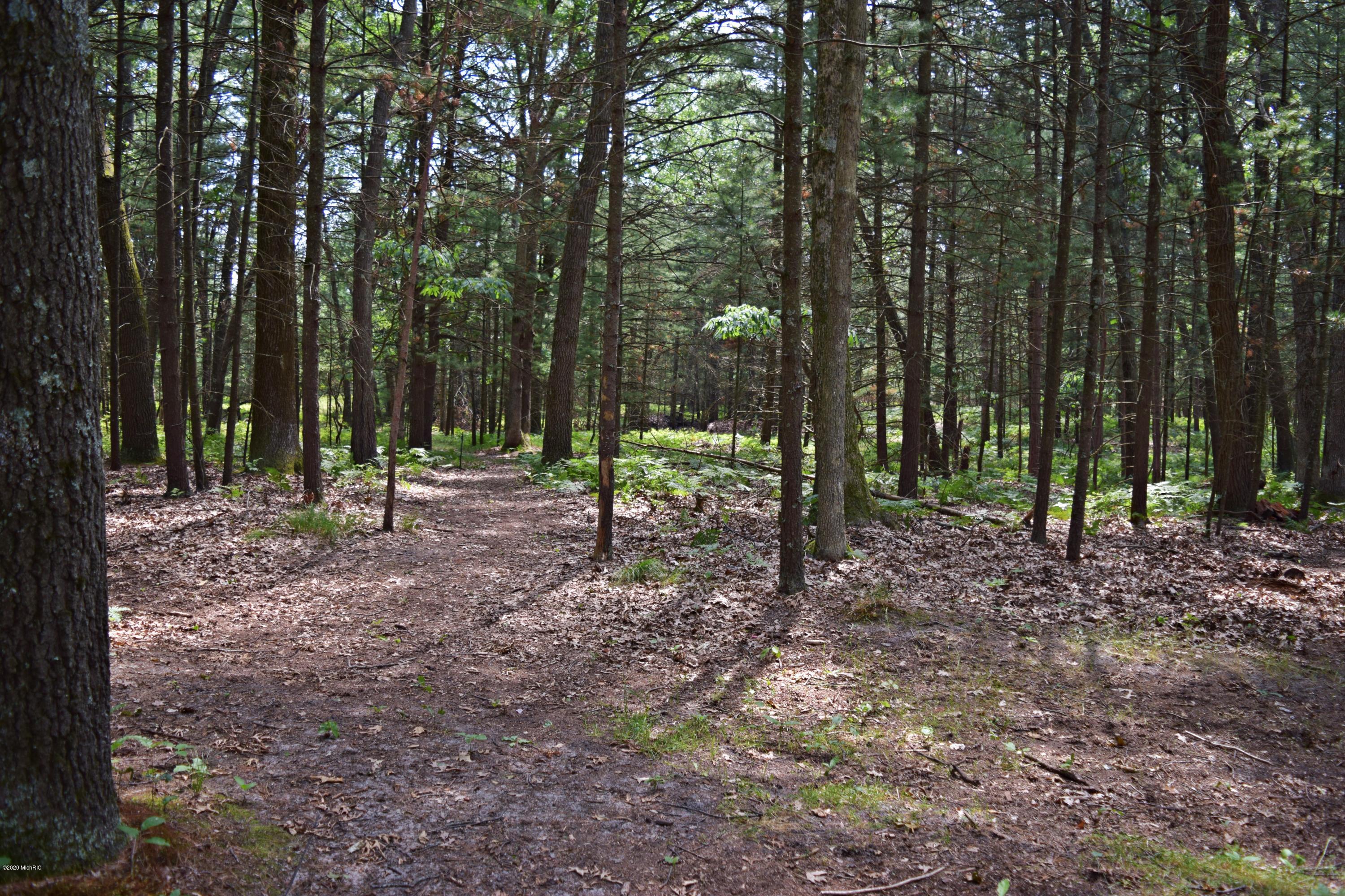 6131 Longbridge Road Pentwater, MI 49449 - Photo 58 of 68 DSC_0922