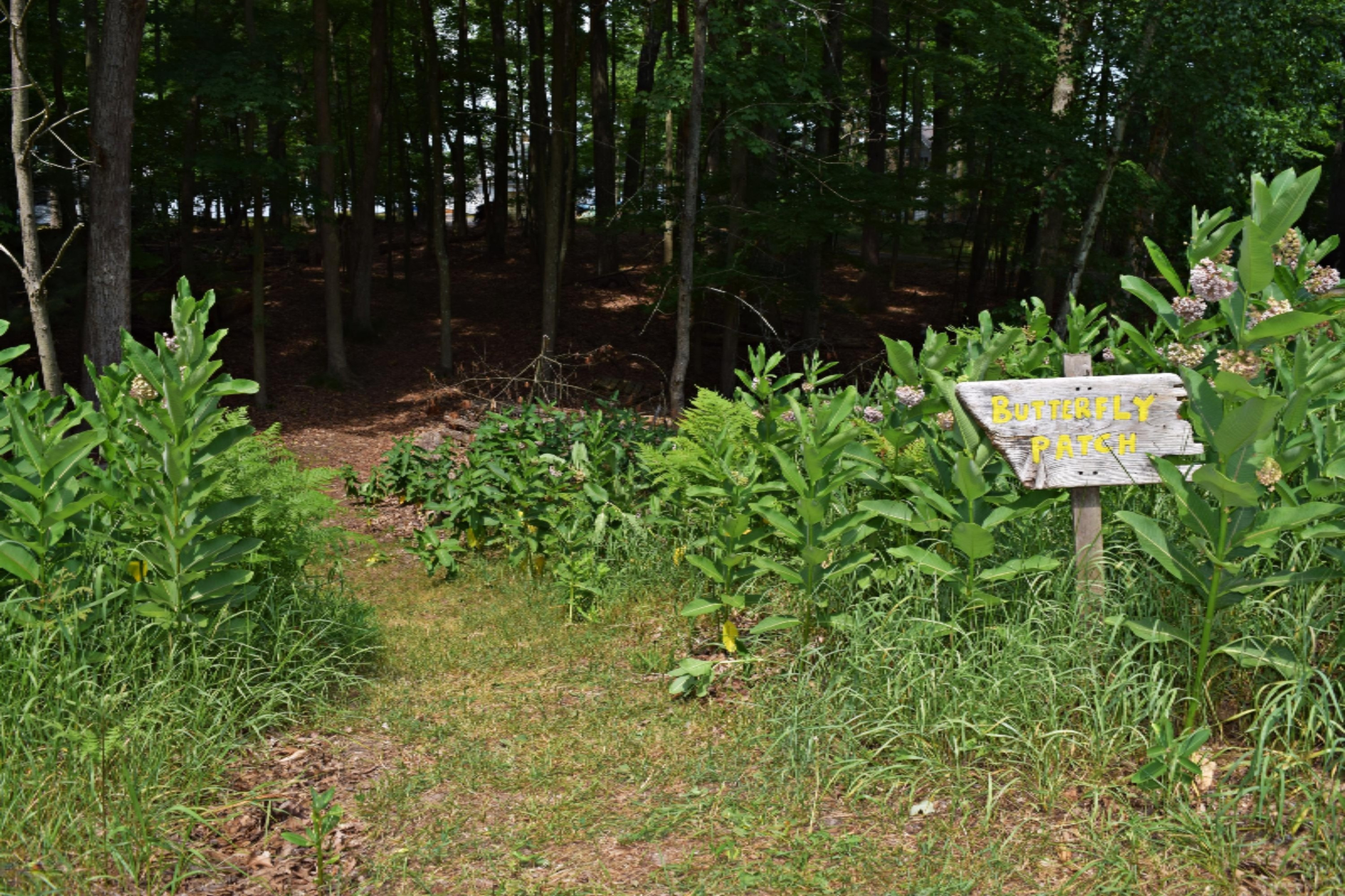 6131 Longbridge Road Pentwater, MI 49449 - Photo 64 of 68 DSC_0957